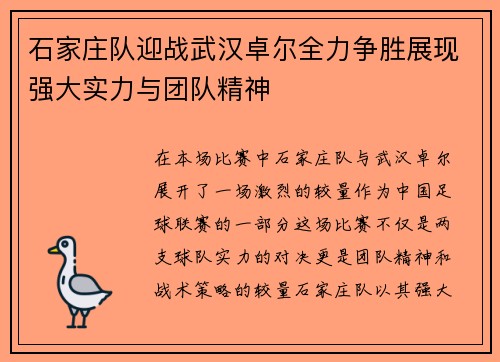 石家庄队迎战武汉卓尔全力争胜展现强大实力与团队精神