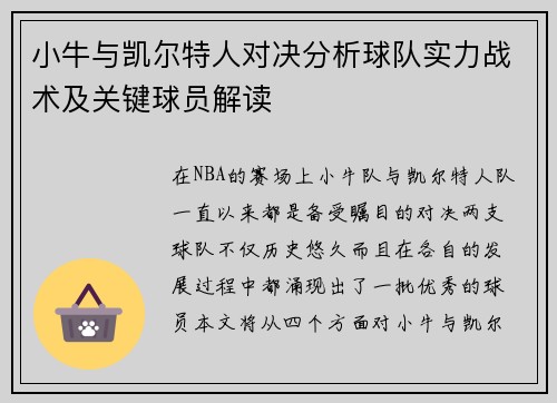 小牛与凯尔特人对决分析球队实力战术及关键球员解读