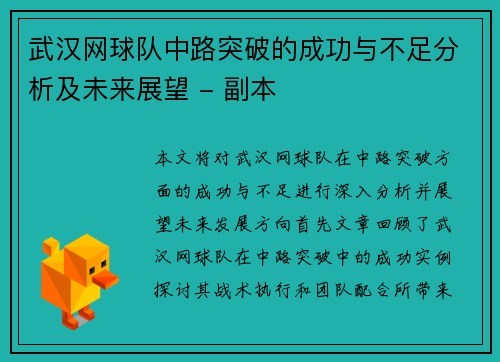 武汉网球队中路突破的成功与不足分析及未来展望 - 副本